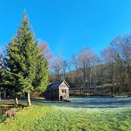 Insolite Tiny House Serenite Bien Etre Ban-sur-Meurthe-Clefcy Exterior photo